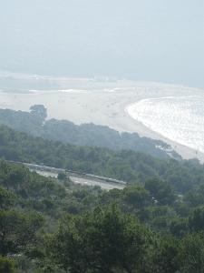 1843 plage de madagh